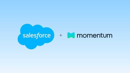 Momentum's Journey from Early Investment to Salesforce Acquisition